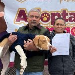 Responderá México a los aranceles de Trump