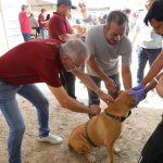 ‘Rockean’ cientos de jóvenes y familias en El Laguito