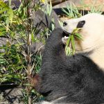 Emotivo homenaje del elenco de ‘Friends’ para Matthew Perry