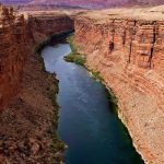 NLD, referente en la protección de la niñez y la adolescencia