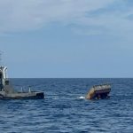 Apoyos gratuitos impulsan al sector ganadero